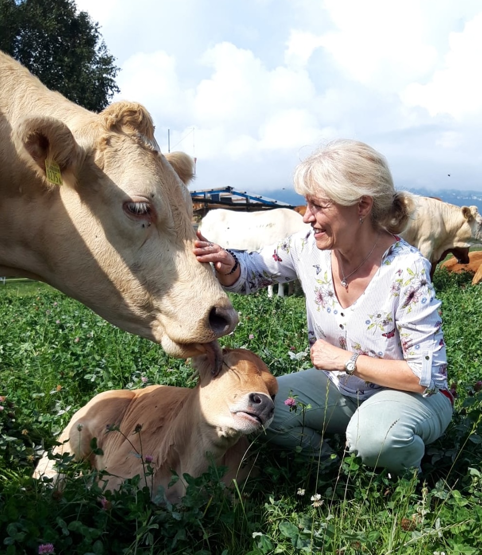 Frau streichelt Kuh und Kalb